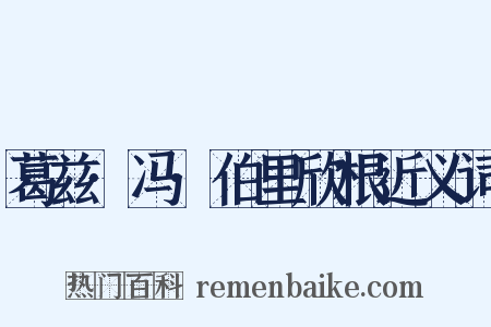 葛兹·冯·伯里欣根近义词是什么意思的图片